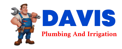 Trusted plumber in DAVISBORO